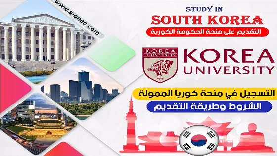 منحة الحكومة الكورية - منحة كوريا الجنوبية - منحة KGSP الكورية - study in korea
