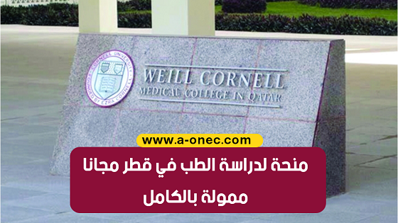 دراسة الطب في قطر: مدة الدراسة، أفضل الجامعات، والرسوم الدراسية