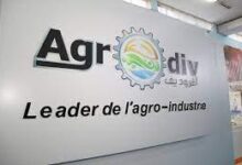 اعلان توظيف بشركة القابضة للصناعات الغذائية AGRODIV ورقلة