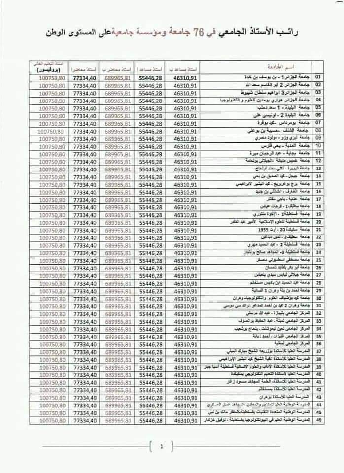 كم راتب الدكتور الجامعي