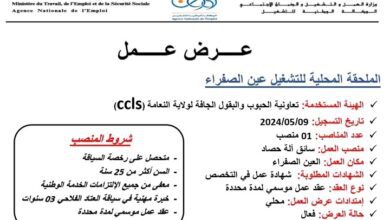 اعلان توظيف بتعاونية الحبوب والبقول الجافة CCLS بولاية النعامة